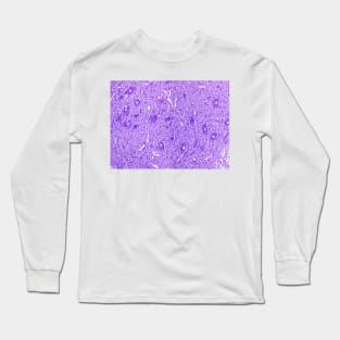 Motor neurons, light micrograph (C024/0081) Long Sleeve T-Shirt